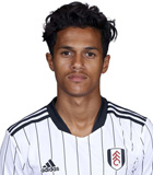 สถิติของ Fabio Leandro Freitas Gouveia Carvalho