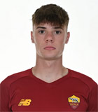 สถิติของ นิโคลา ซาลิวสกี