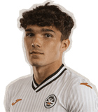 Kyle Joseph(สวอนซี ซิตี้นักฟุตบอล) ข้อมูลพื้นฐาน