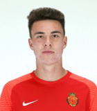 Matthew Hoppe(มายอร์ก้านักฟุตบอล) ข้อมูลพื้นฐาน