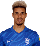 Lyle Taylor(น็อตติ้งแฮม ฟอเรสต์นักฟุตบอล) ข้อมูลพื้นฐาน